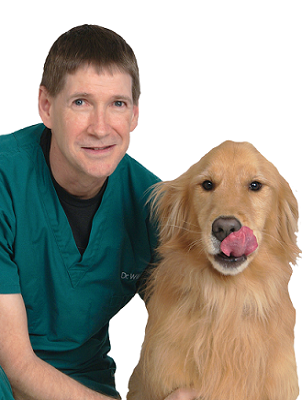 Image of Dr. Mark Williamson, DMV. Clearwater, Dunedin veterinarian.