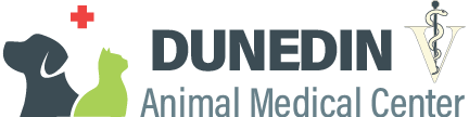image of local veterinarian logo